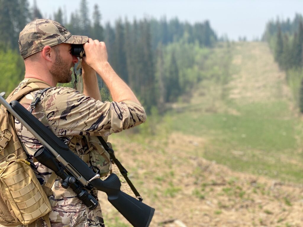 Spot and Stalk Bear Hunting Tips