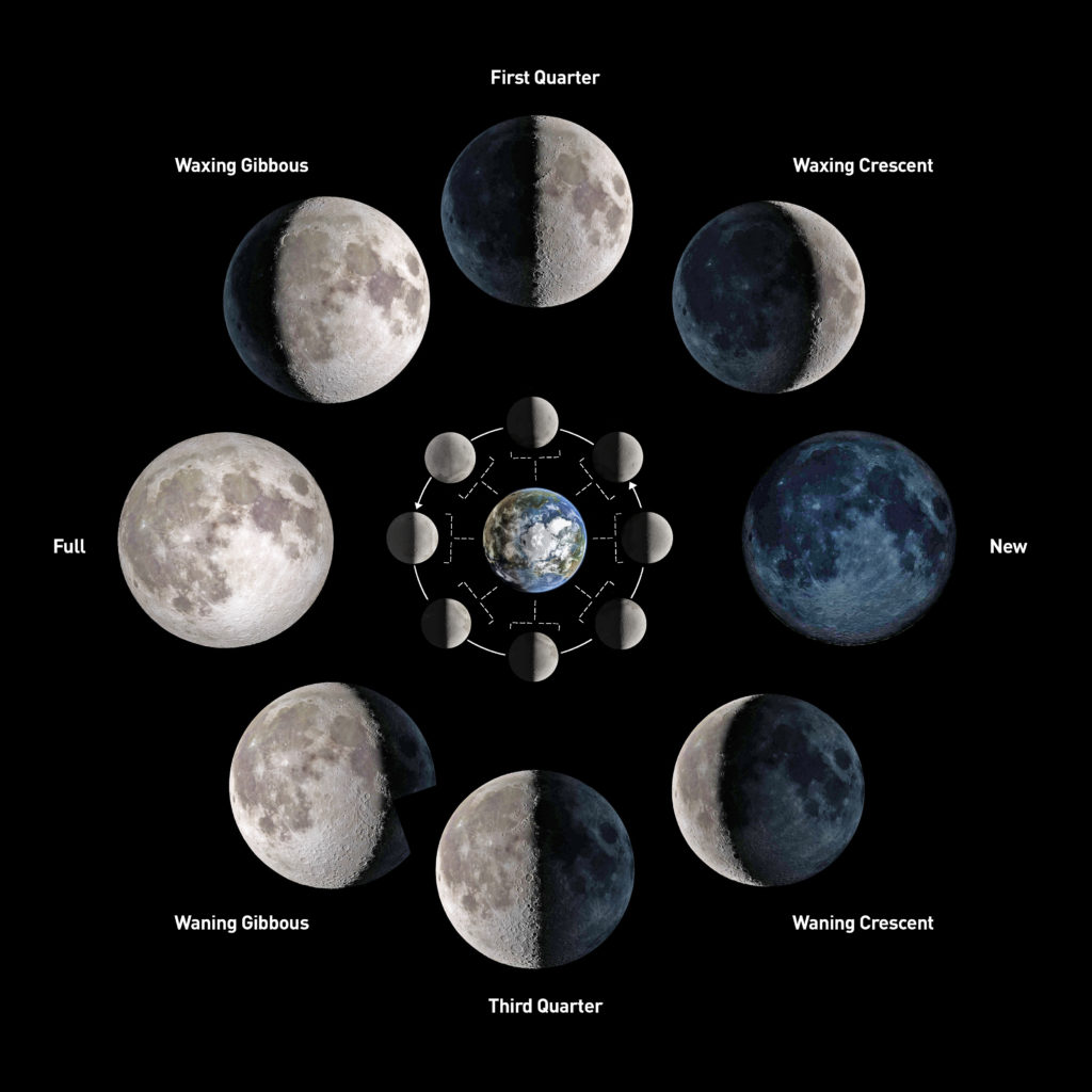 Phases of the moon, whitetail deer hunting